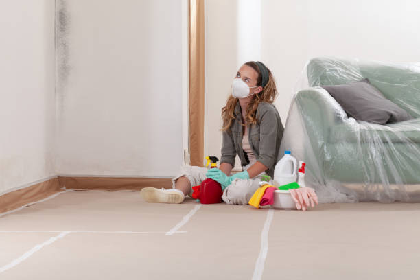 Reliable Mold Cleanup contractor in Lyons, GA by WQB Mold Removal